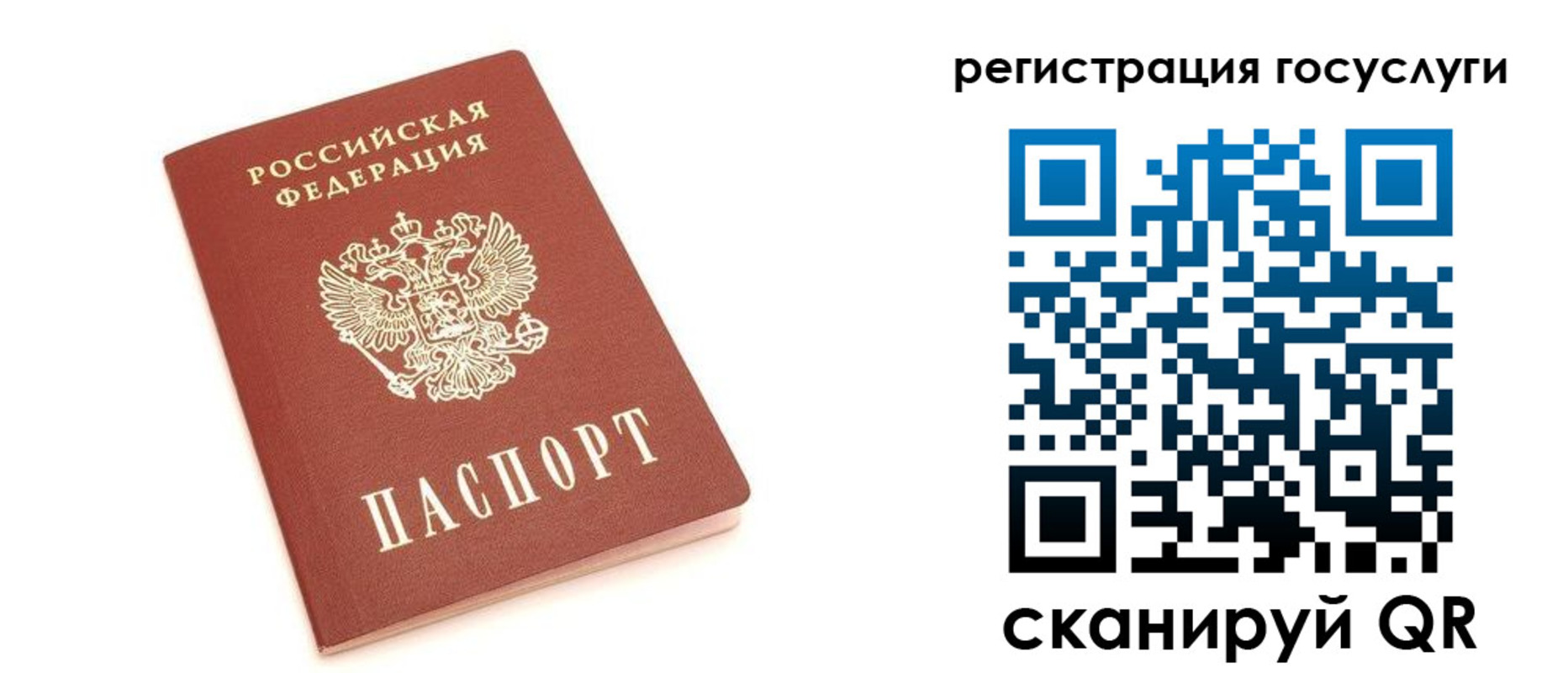 прописка 2025 в Павловске